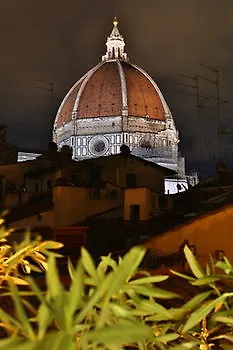 Art And Luxury פירנצה